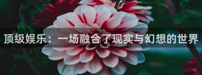 众腾娱乐：顶级娱乐：一场融合了现实与幻想的世界