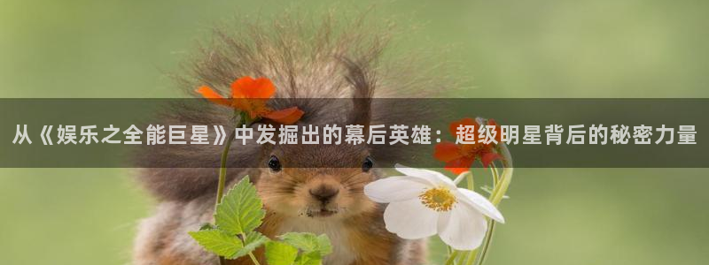 众腾娱乐：从《娱乐之全能巨星》中发掘出的幕后英雄：超级明星背后的秘密力量