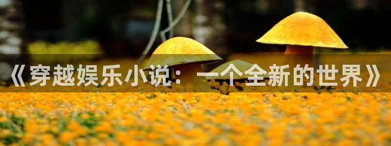 众腾娱乐：《穿越娱乐小说：一个全新的世界》