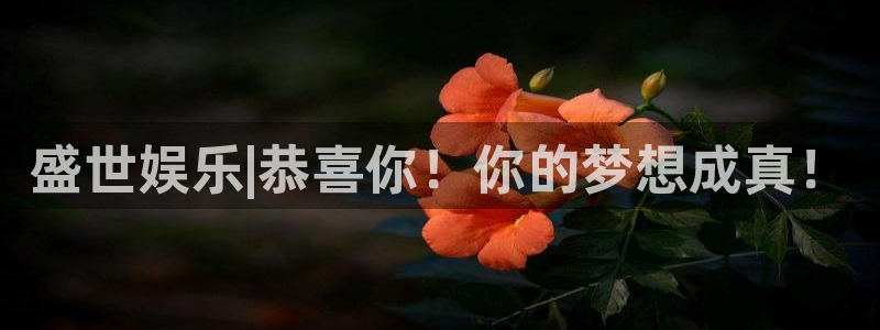 众腾娱乐：盛世娱乐|恭喜你！你的梦想成真！