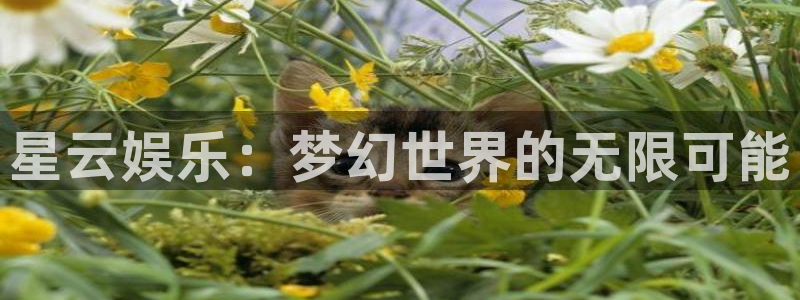 众腾娱乐：星云娱乐：梦幻世界的无限可能