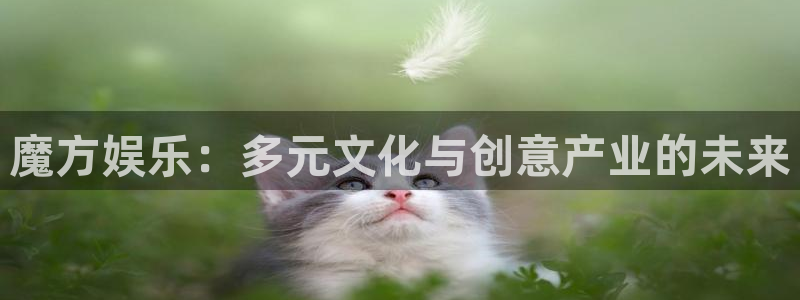 众腾娱乐：魔方娱乐：多元文化与创意产业的未来
