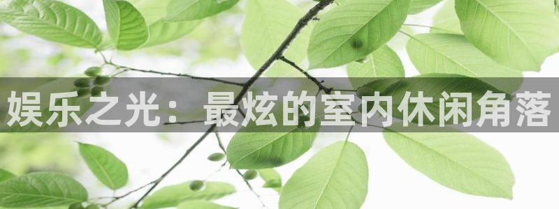 众腾娱乐：娱乐之光：最炫的室内休闲角落