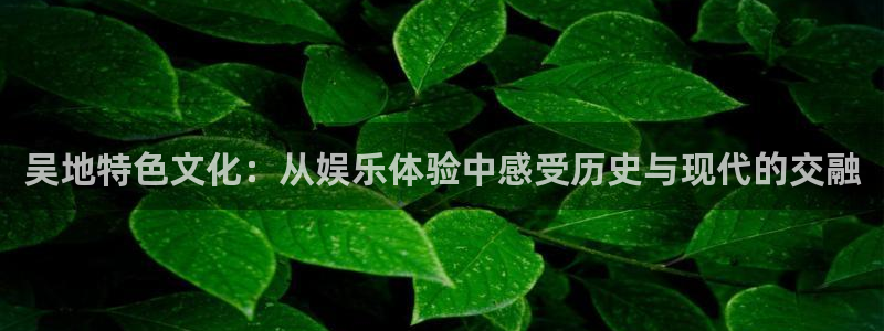 众腾娱乐：吴地特色文化：从娱乐体验中感受历史与现代的交融