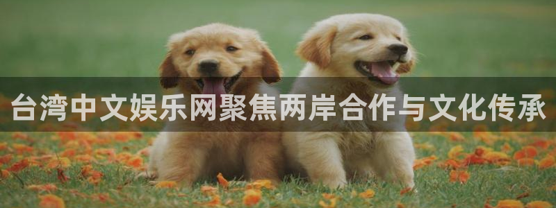 众腾娱乐：台湾中文娱乐网聚焦两岸合作与文化传承